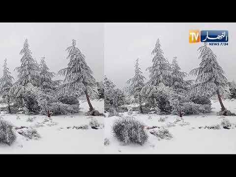 snow