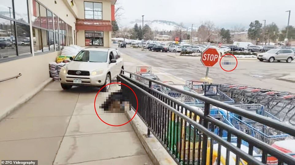 Click to enlarge boulder mass shooting