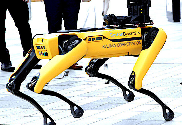 robot furry dog