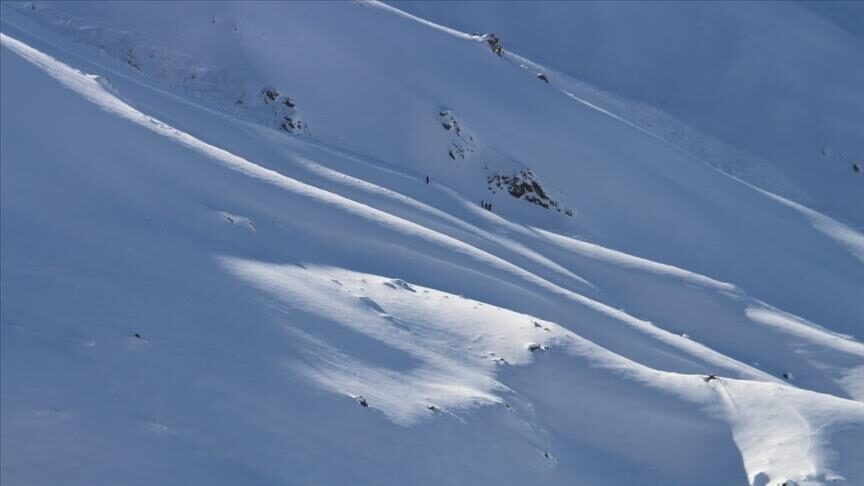 snow