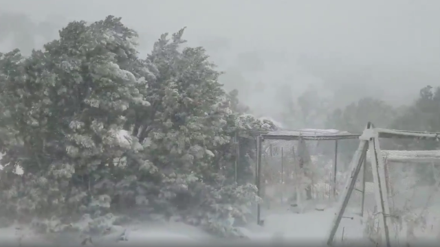 Click to enlarge Damaging Winds and Snow Sweep Across Central New Mexico as Severe Storm Hits