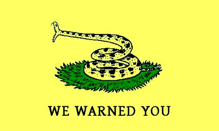 Click to enlarge snake flag