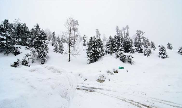 snow