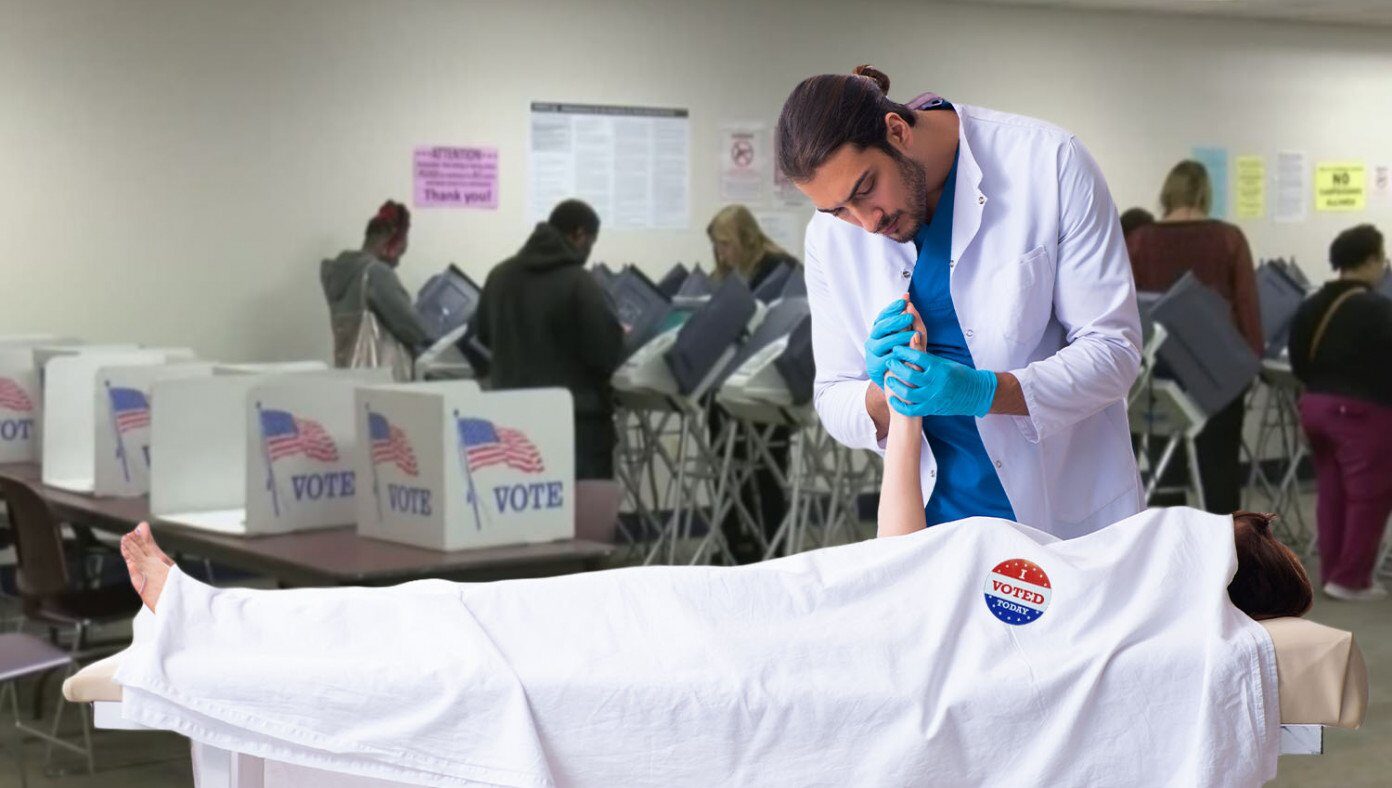 poll workers voter pulse satire