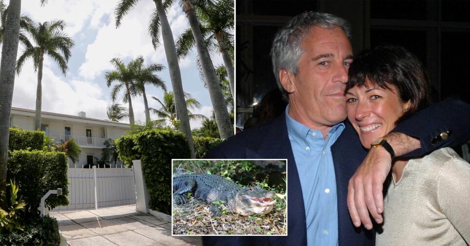 epstein maxwell house alligator