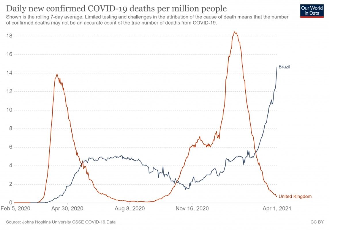 Click to enlarge brazil deaths