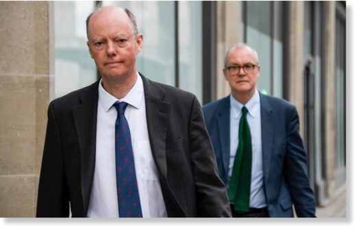 Click to enlarge Chris Whitty, left, and Sir Patrick Vallance have been responsible for predictions that have terrified the public