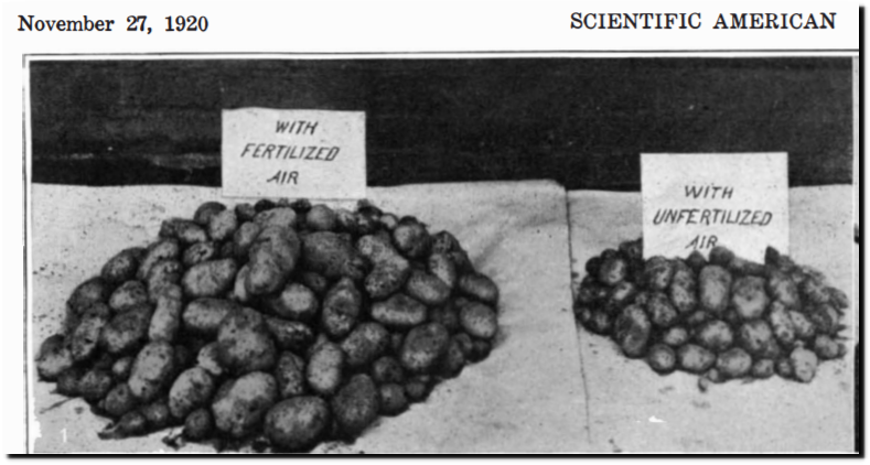 Scientific American Article