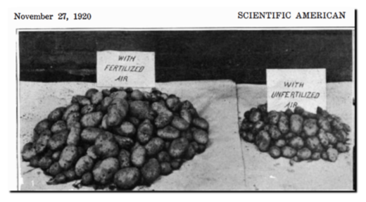 Scientific American Article