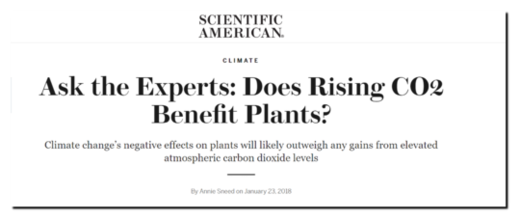 Scientific American Article