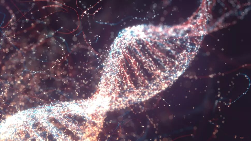 dna strand