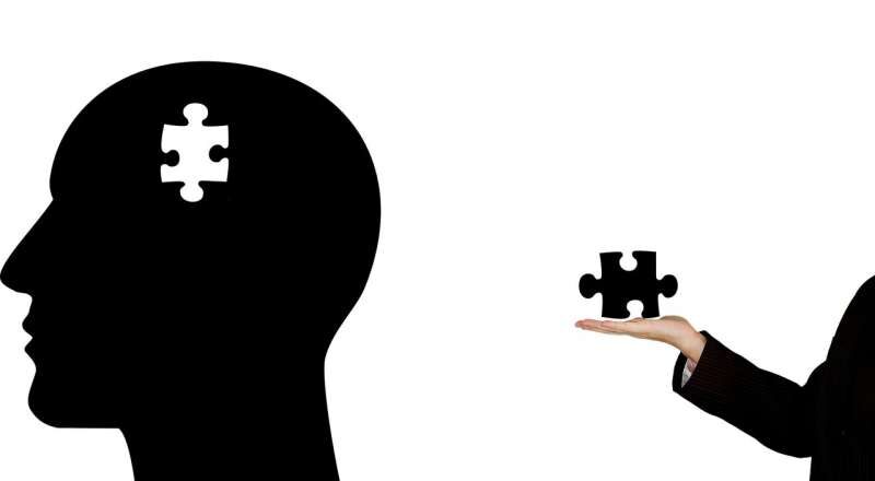 Click to enlarge head jigsaw puzzle