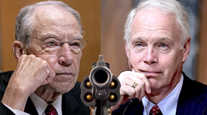 Grassley/gun barrel/Johnson
