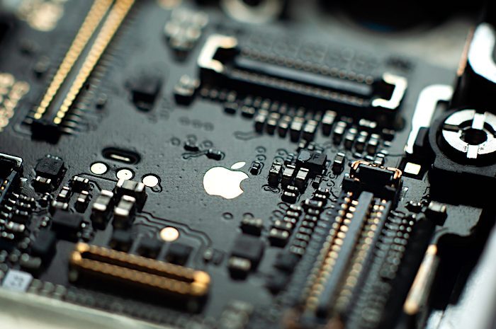 Apple innards