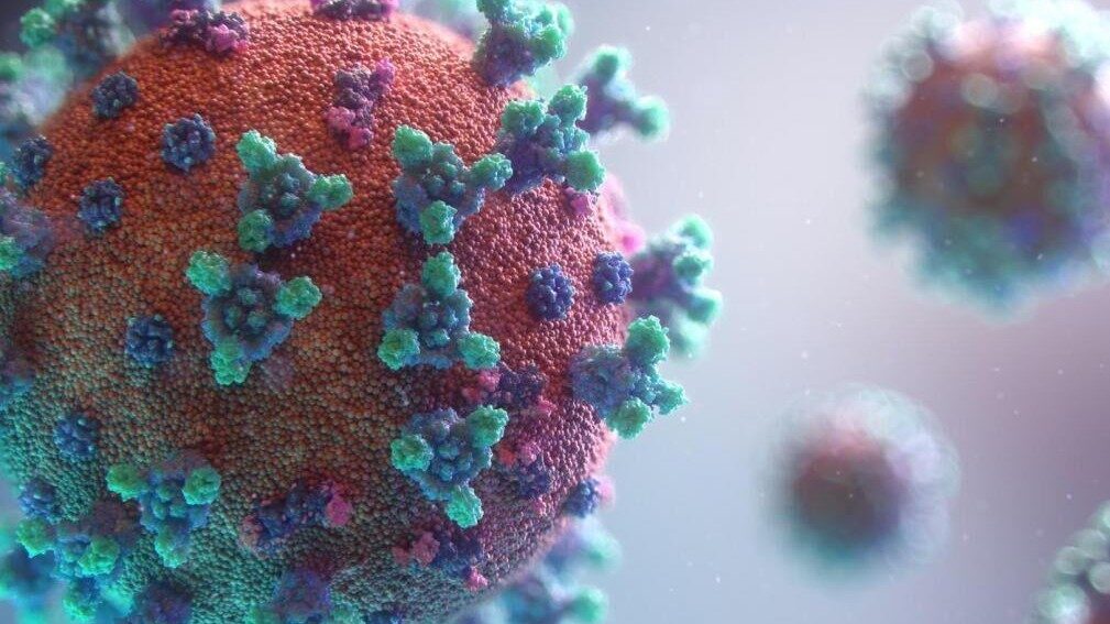 virus