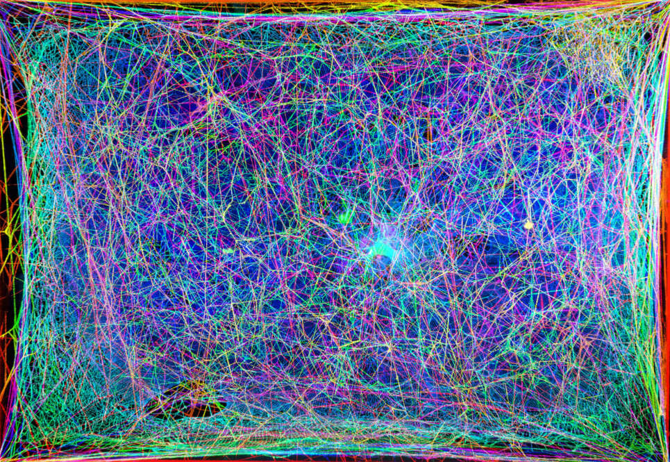 Click to enlarge Spider's Web