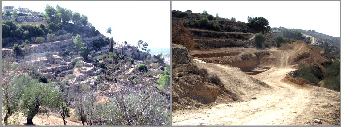 Click to enlarge Agri terraces