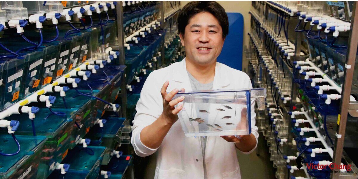 Click to enlarge Dr Kazu Kikuchi
