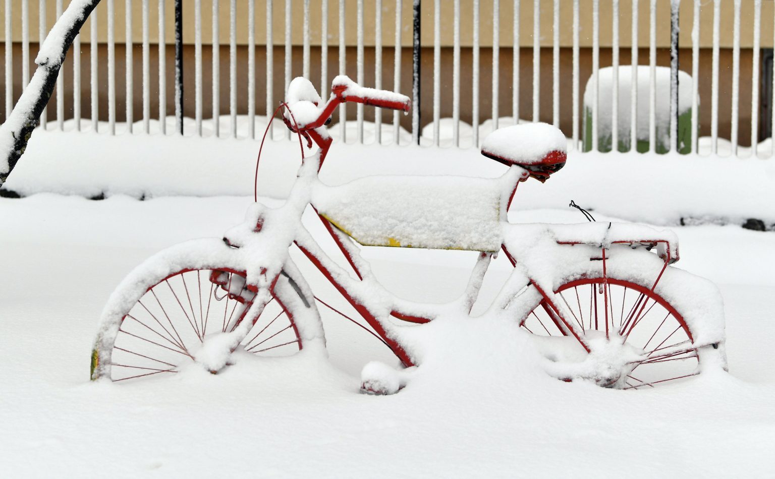 snow