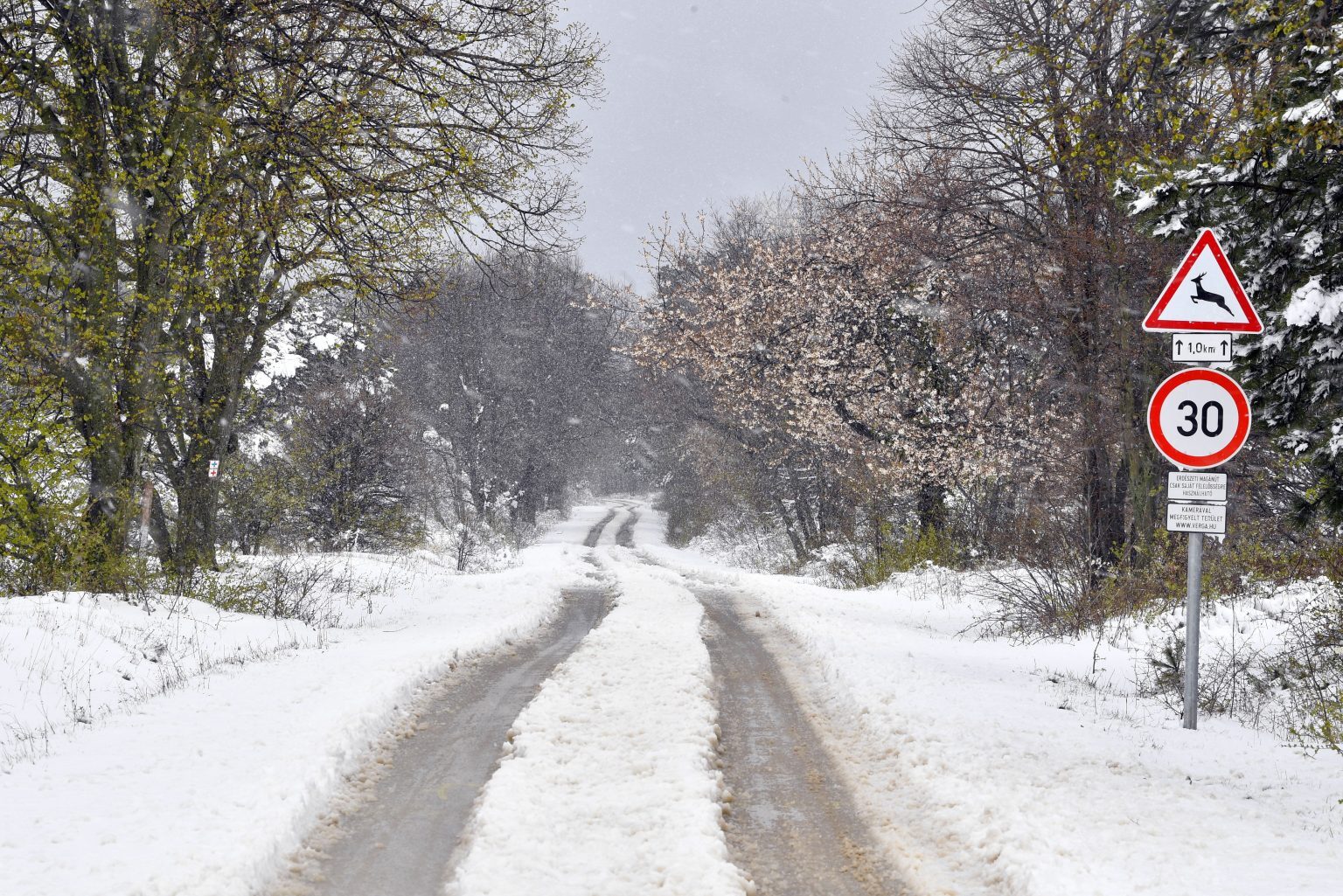 Snowy road on the border of Tés.