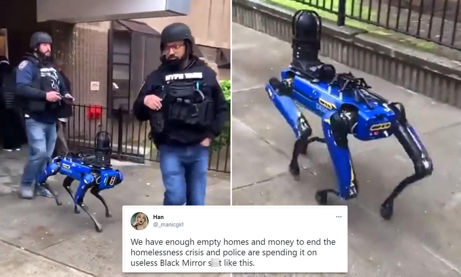 Click to enlarge New York city digidog robot dog