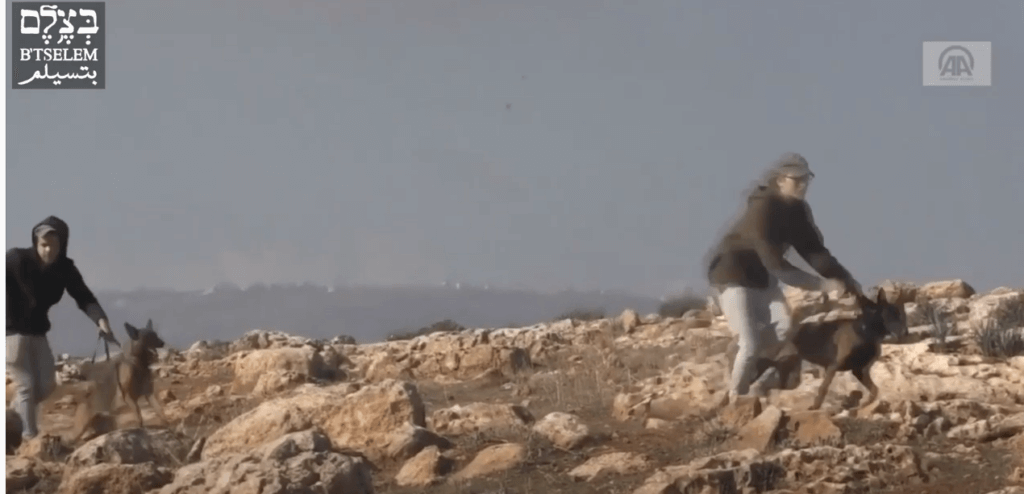 Click to enlarge israel settlers attack dogs