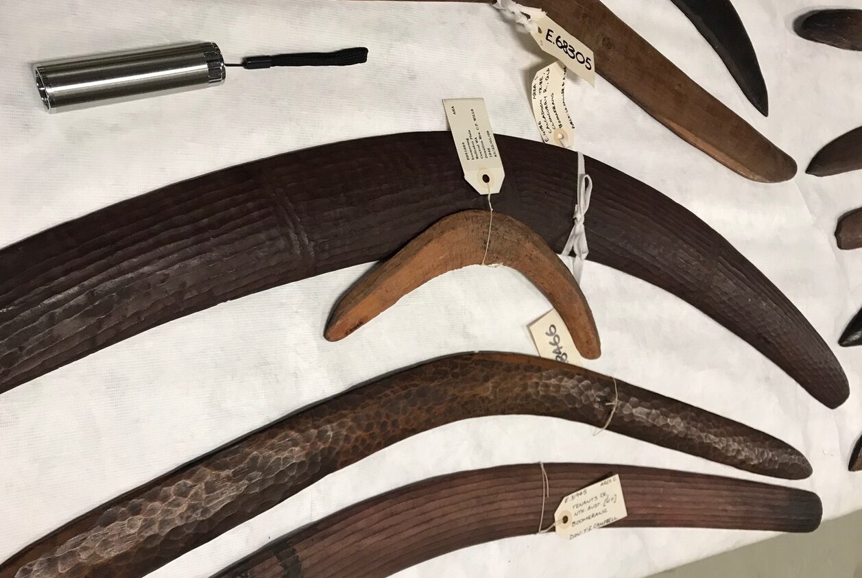 Boomerangs1