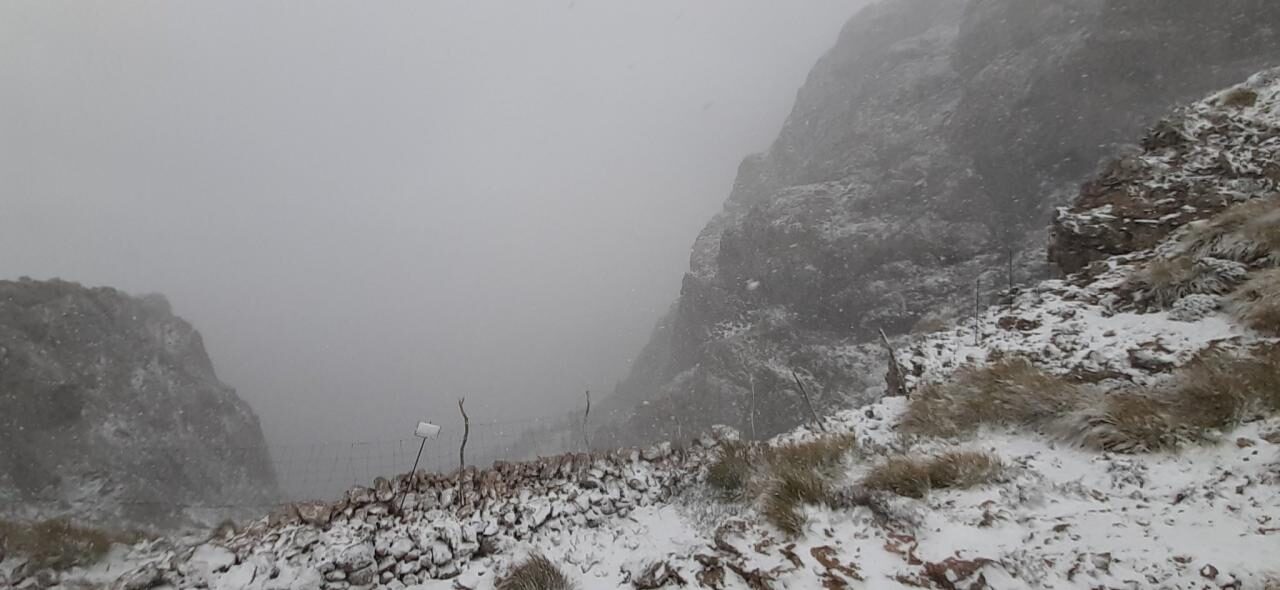 Click to enlarge snow