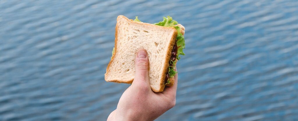 sandwich