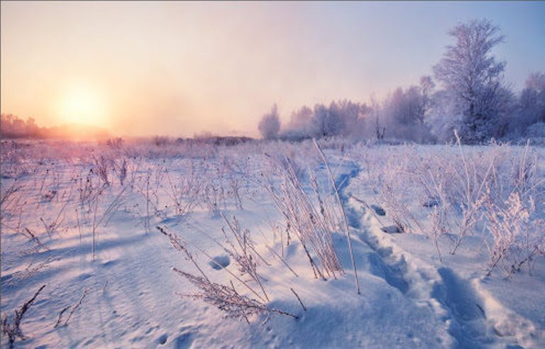 Click to enlarge Snowy landscape
