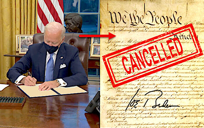 Click to enlarge Biden/Constitution