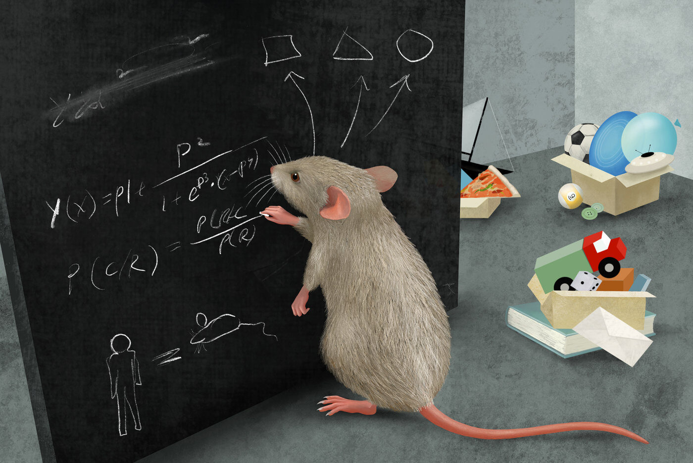 Mice Einstein