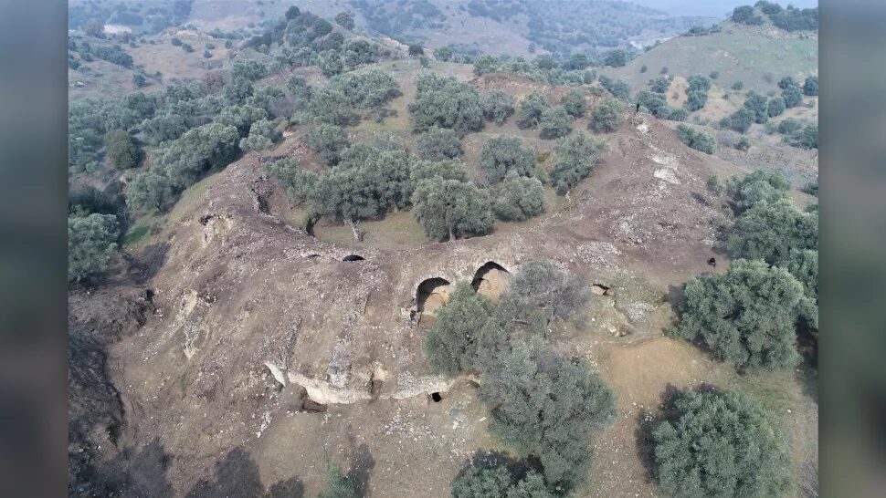 gladiator arena