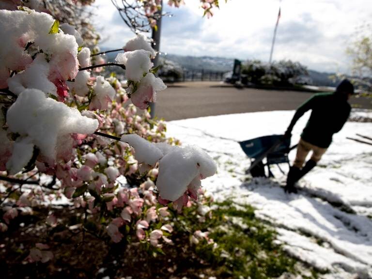 Record snow