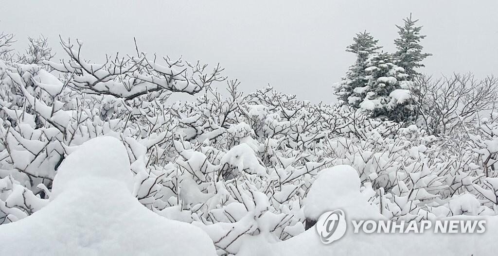 Mount Seorak in the northeastern province of Gangwon is covered with snow on April 30, 2021, in this photo provided by Seoraksan National Park Office.