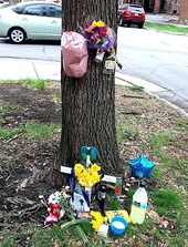 Click to enlarge tree memorial