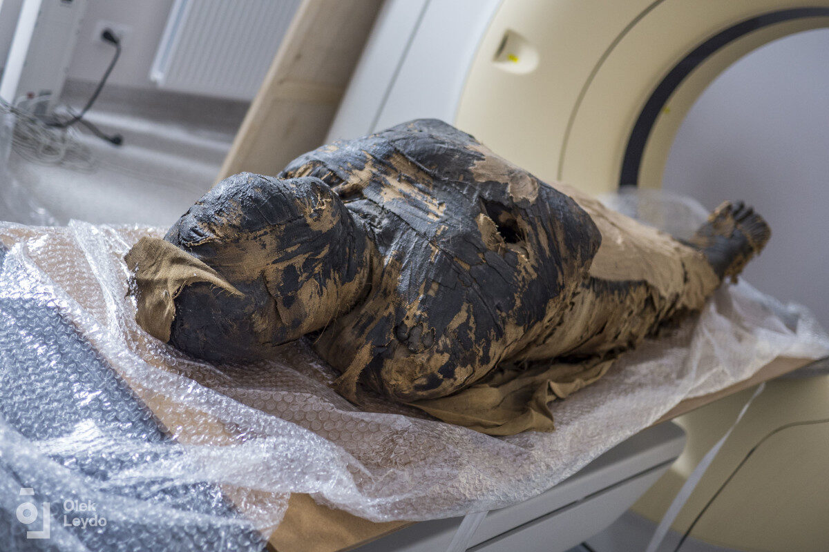 Click to enlarge Egyptian Mummy