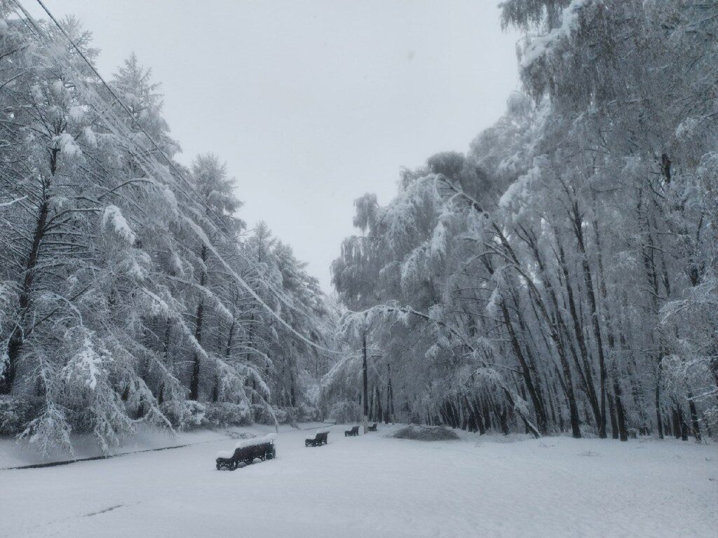 Heavy, out-of-season snow in the Tula regions, Russia (April 28).