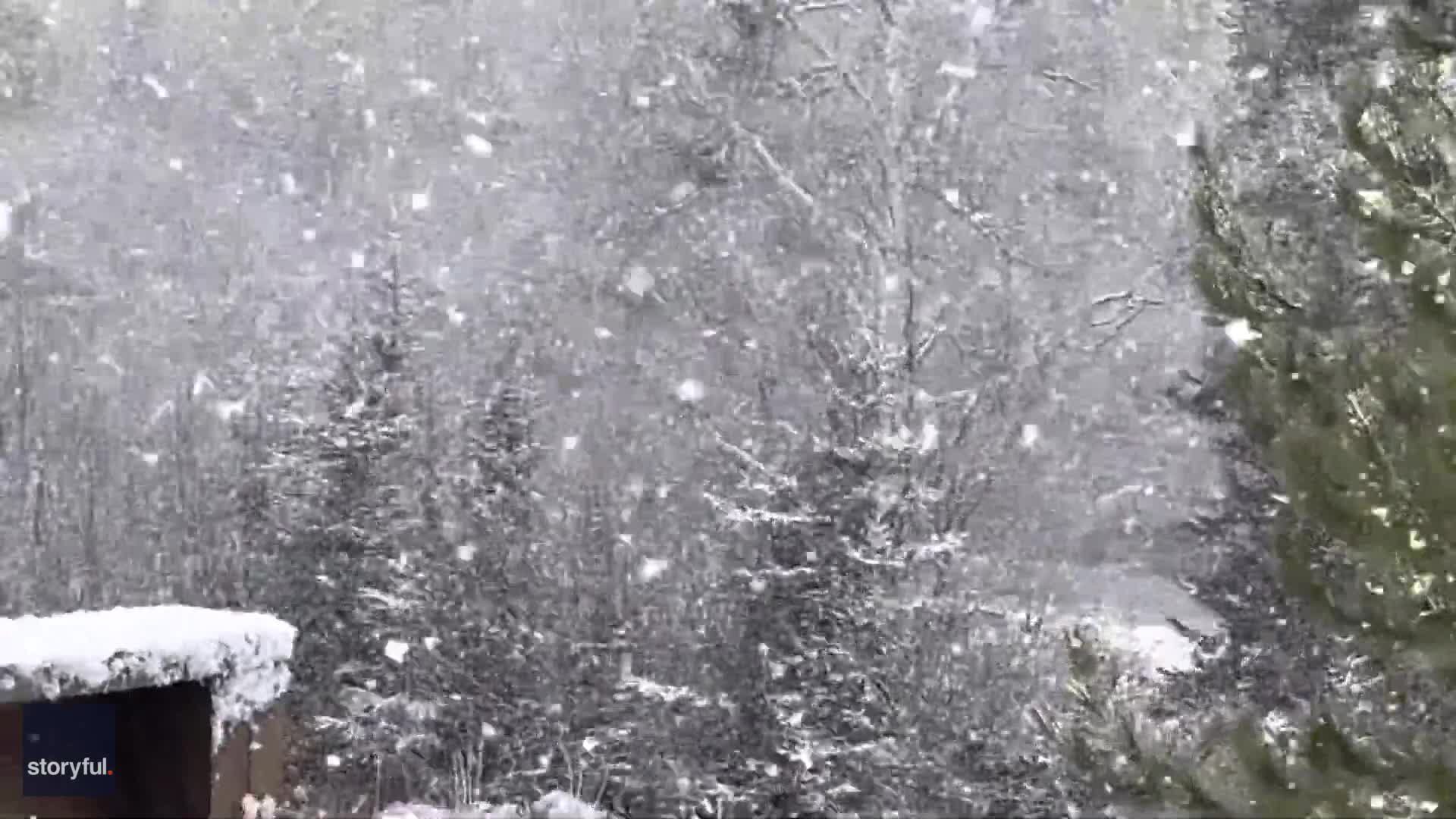 snow