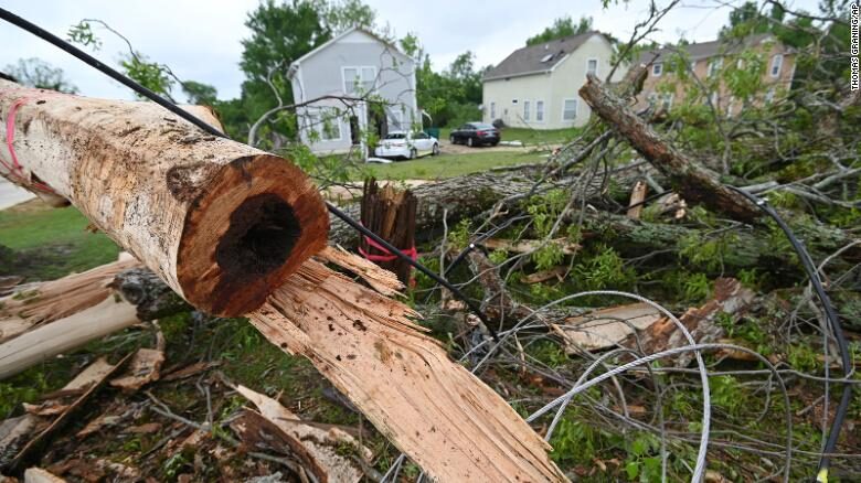 Click to enlarge A damaged tree sits on the side of Elvis Presley Drive in Tupelo, Mississippi, Monday