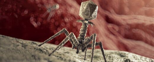 virus bacteriophage