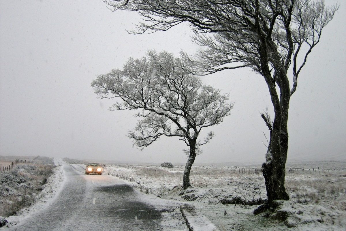 cold