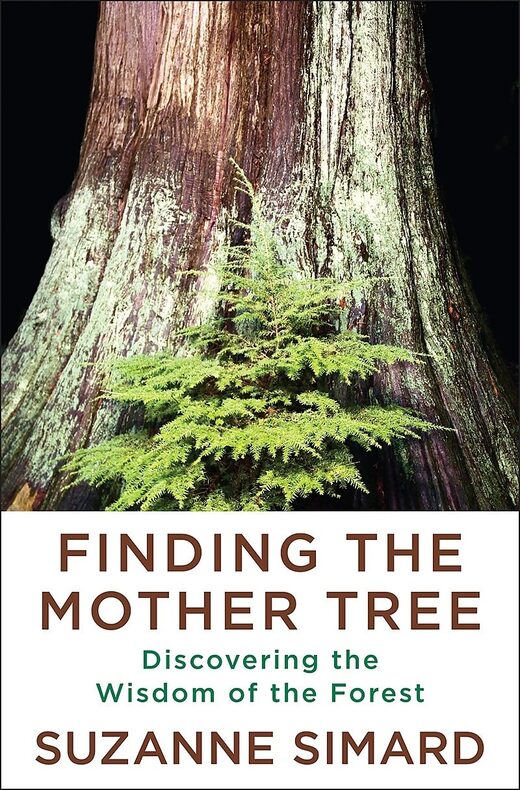 Click to enlarge mother trees suzane simard book cover