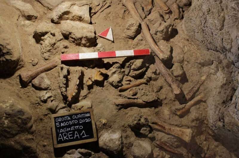 Click to enlarge Neanderthals