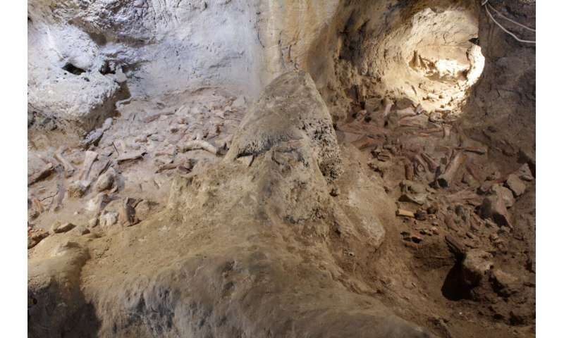 Click to enlarge Neanderthals