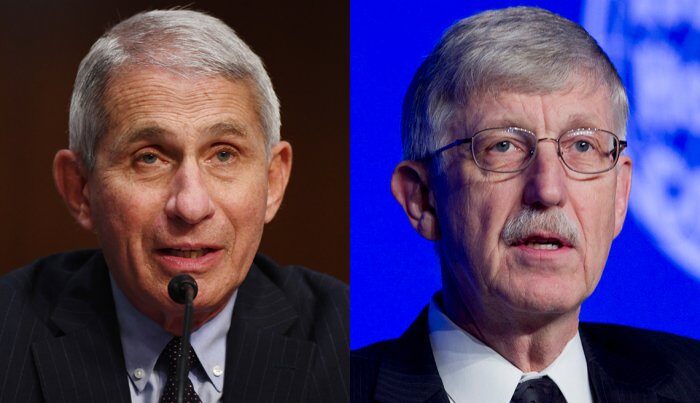 Click to enlarge fauci collins niaid coronavirus