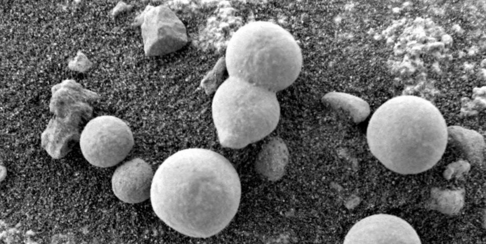 Click to enlarge mars mushroom