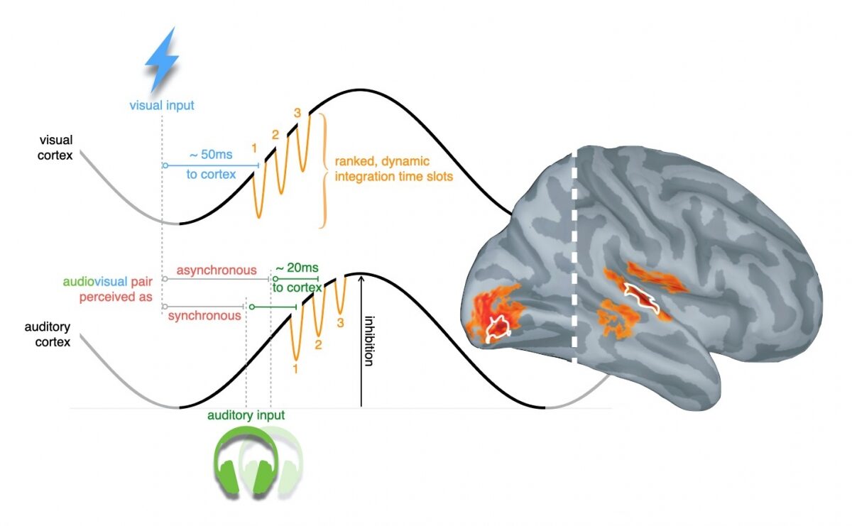 Brain Signals