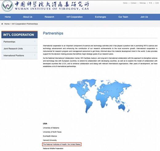 wuhan web page fauci
