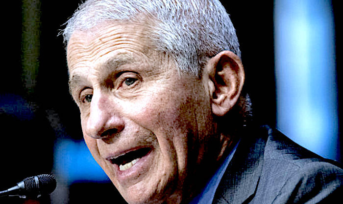 Click to enlarge Fauci